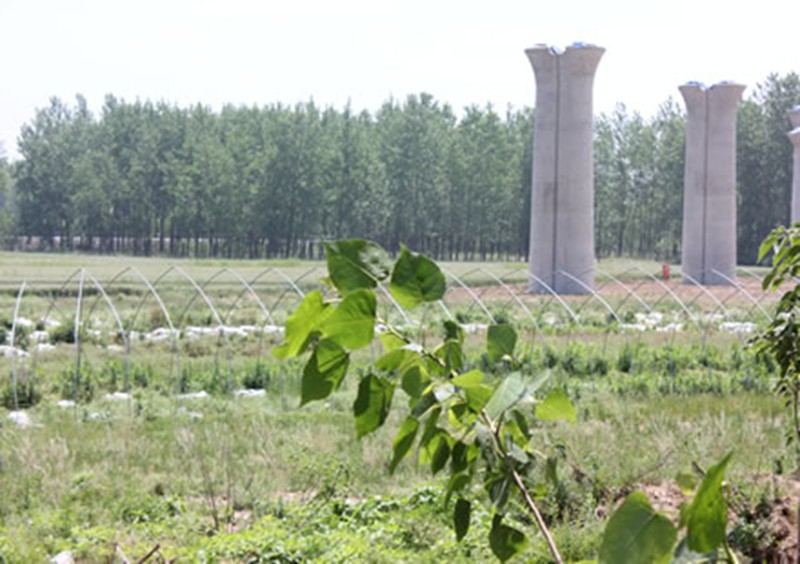 省农村产业指导中心调研徐宿淮盐铁路（淮阴段）建设对部分种养殖主体影响评估