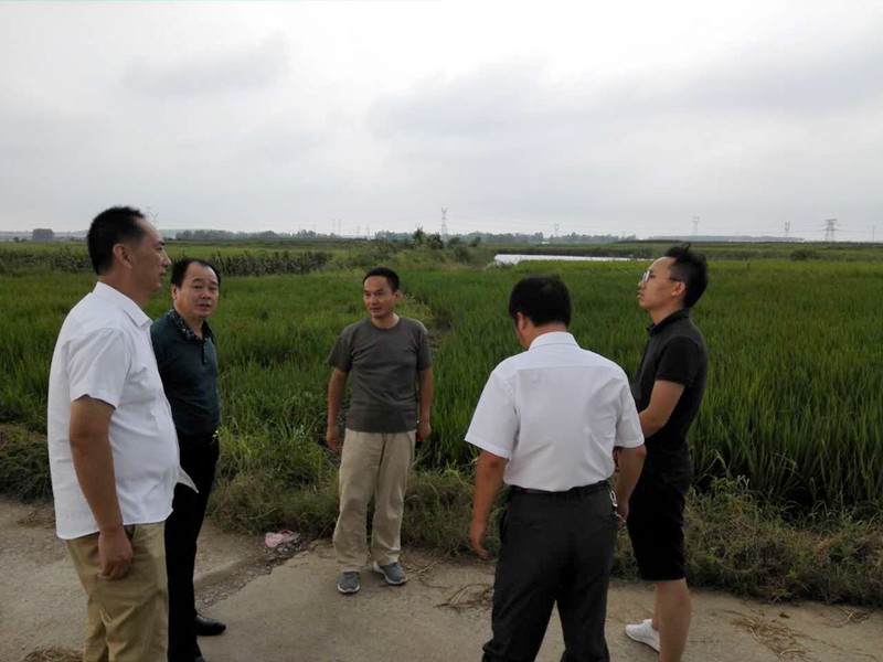 省农村产业指导中心现场调研杂交油用芍药航天育种基地项目