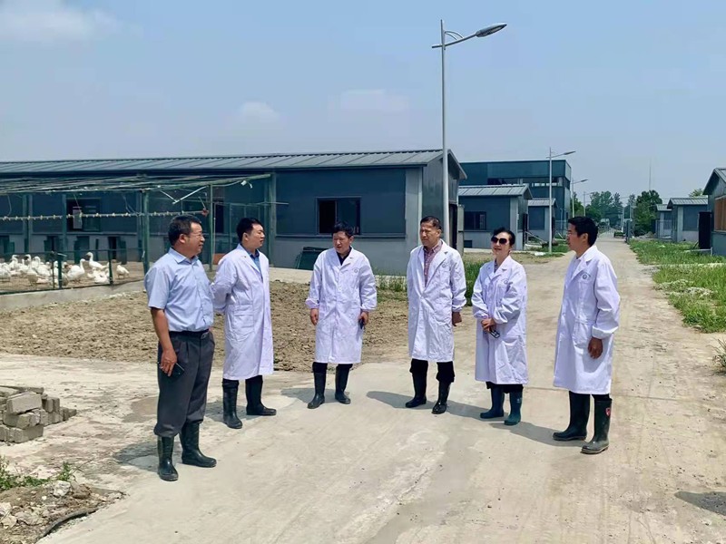 中心课题组参与国家水禽基因库畜禽种质资源保护项目验收会