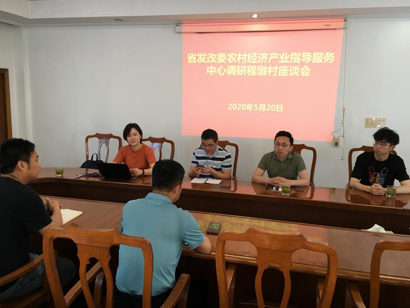 中心课题组赴凤凰镇各村调研