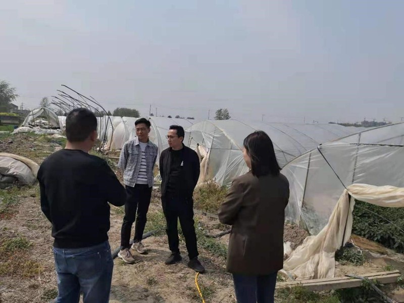 中心课题组课题组开展《淮安市农业对外开放合作试验区总体规划》调研工作